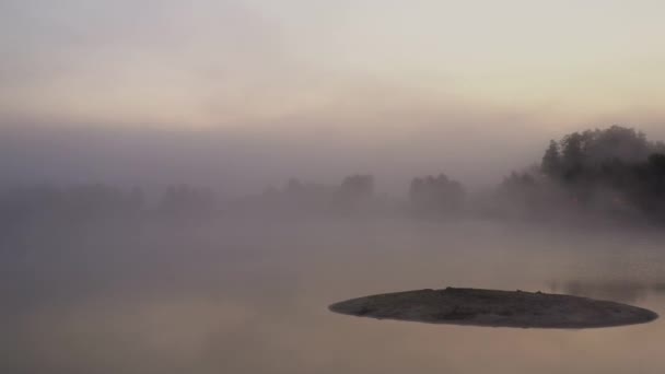 4k vliegen over de ochtend zomer weide in de mist, prachtige zomer landschap, hoge kwaliteit — Stockvideo