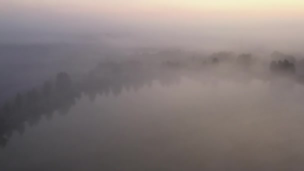 4k vliegen over de ochtend zomer weide in de mist, prachtige zomer landschap, hoge kwaliteit — Stockvideo