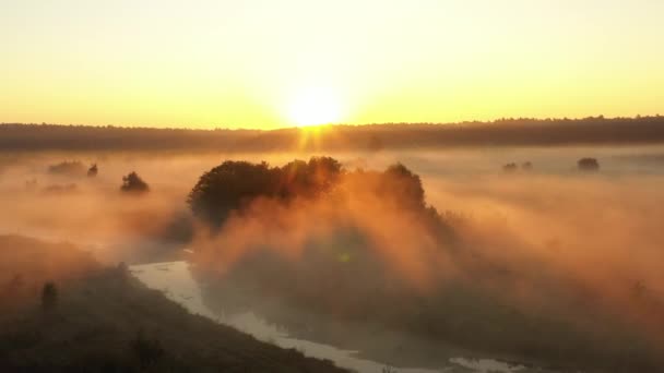 4K Volando sobre el prado de verano de la mañana en la niebla, hermoso paisaje de verano, de alta calidad — Vídeos de Stock