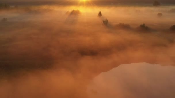 4K Volare sopra il prato estivo del mattino nella nebbia, bellissimo paesaggio estivo, di alta qualità — Video Stock