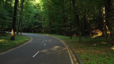 4K Düşük irtifada İHA ile, yüksek kalitede, asfalt yolda yeşil ormandan büyük yeşil ağaçlarla geçen yavaş uçuş.