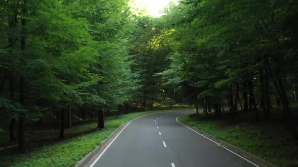 4k Voo lento por drone em baixa altitude, sobre estrada asfaltada de alta qualidade que atravessa a floresta verde com grandes árvores verdes . — Vídeo de Stock