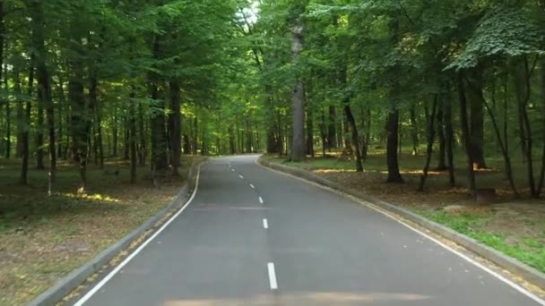 4k Voo lento por drone em baixa altitude, sobre estrada asfaltada de alta qualidade que atravessa a floresta verde com grandes árvores verdes . — Vídeo de Stock
