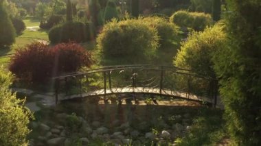 Feofaniya parkta 4k Uçan drone, doğal sahne, akşam gökyüzü arka plan.