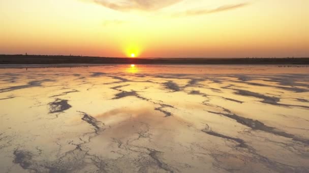 4k, Coucher de soleil sur le lac salé de Tuzla, mouettes assis sur la surface du réservoir et voler au-dessus du lac . — Video