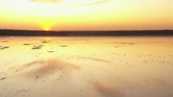 4k, Tuzla tuz gölünde gün batımı, martılar rezervuar yüzeyinde oturup gölün üzerinde uçmak. — Stok video