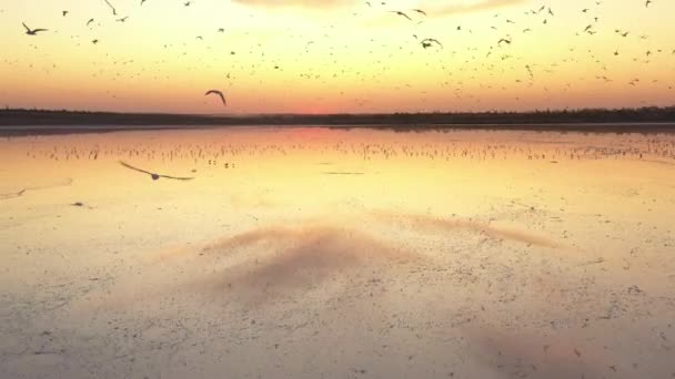 4k, por do sol no lago de sal de Tuzla, gaivotas sentam-se na superfície do reservatório e voam sobre o lago . — Vídeo de Stock