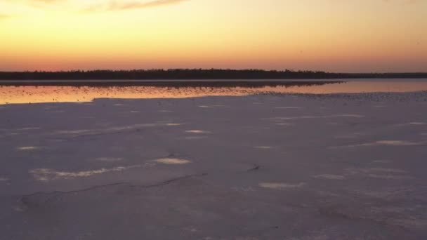 4k, Sonnenuntergang auf dem Salzsee Tuzla, Möwen sitzen auf der Oberfläche des Stausees und fliegen über den See. — Stockvideo