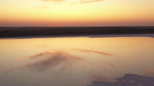 4k, zonsondergang op Tuzla Salt Lake, meeuwen zitten op het oppervlak van het reservoir en vliegen over het meer. — Stockvideo