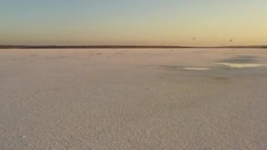 4k, Tuzla tuz gölünde gün batımı, martılar rezervuar yüzeyinde oturup gölün üzerinde uçmak.