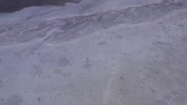 4k, Tuzla tuz gölünde gün batımı, martılar rezervuar yüzeyinde oturup gölün üzerinde uçmak.