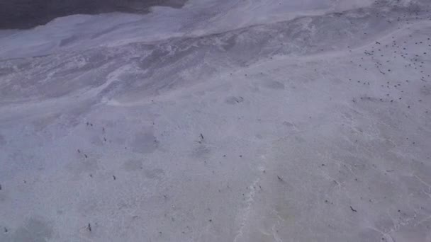 4k, por do sol no lago de sal de Tuzla, gaivotas sentam-se na superfície do reservatório e voam sobre o lago . — Vídeo de Stock