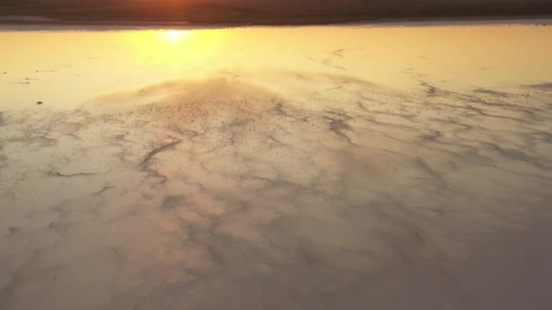 4k, puesta del sol en el lago de sal Tuzla, gaviotas se sientan en la superficie del embalse y vuelan sobre el lago . — Vídeos de Stock