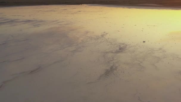 4k, Coucher de soleil sur le lac salé de Tuzla, mouettes assis sur la surface du réservoir et voler au-dessus du lac . — Video