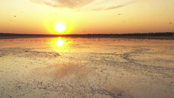 4k, zonsondergang op Tuzla Salt Lake, meeuwen zitten op het oppervlak van het reservoir en vliegen over het meer. — Stockvideo