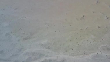 4k, Tuzla tuz gölünde gün batımı, martılar rezervuar yüzeyinde oturup gölün üzerinde uçmak.