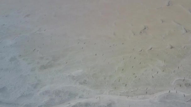 4K, захід сонця на Тузлі Солт-Лейк, чайки сидять на поверхні водойми і літати над озером. — стокове відео