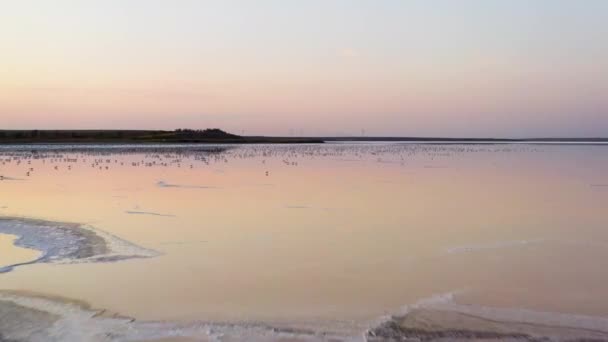 4k, Tramonto sul lago salato di Tuzla, i gabbiani siedono sulla superficie del serbatoio e sorvolano il lago . — Video Stock