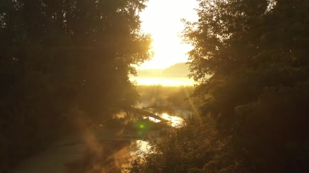Niebla de la mañana sobre el río Irpin. Los rayos del sol hacen su camino a través de las ramas de los árboles, dibujando líneas sorprendentes — Vídeo de stock