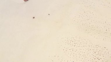 Mykolaiv bölgesinde Tuzla tuz gölü yüzeyi, Ukrayna. İnsansız hava aracından görünüm