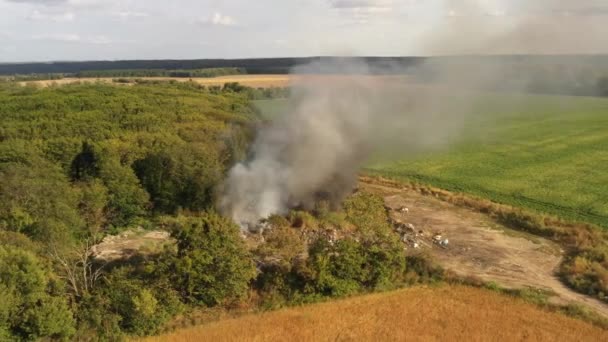 Soptippen nära skogen brinner. Dålig ekologi, utsläpp i atmosfären. — Stockvideo