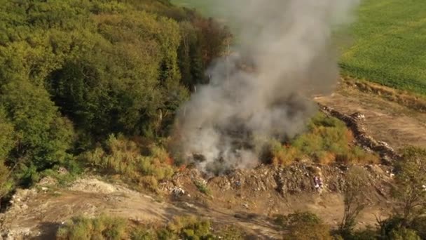 El basurero cerca del bosque se quema. Ecología deficiente, emisiones a la atmósfera . — Vídeo de stock