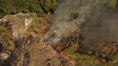The garbage dump near the forest burns. Poor ecology, emissions into the atmosphere.