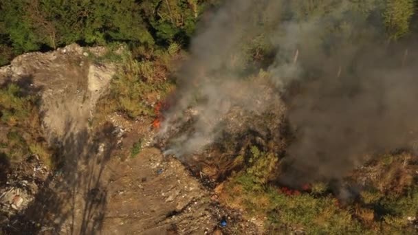 Le dépotoir près de la forêt brûle. Mauvaise écologie, émissions dans l'atmosphère .