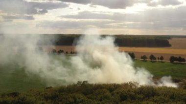 The garbage dump near the forest burns. Poor ecology, emissions into the atmosphere.