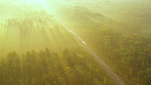 Widok drona 4k Pociąg przejeżdża przez las o świcie, promienie słońca oświetlają mgłę nad lasem — Wideo stockowe