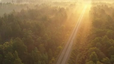 4k drone görüntüsü Tren şafak vakti ormandan geçer, güneş ışınları ormanı aydınlatır