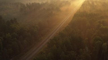 4k drone görüntüsü Tren şafak vakti ormandan geçer, güneş ışınları ormanı aydınlatır