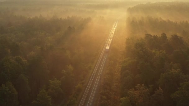 4kドローンビュー列車は夜明けに森を通過し、太陽の光は森の上の霧を照らす — ストック動画