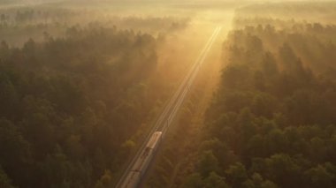 4k drone görüntüsü Tren şafak vakti ormandan geçer, güneş ışınları ormanı aydınlatır