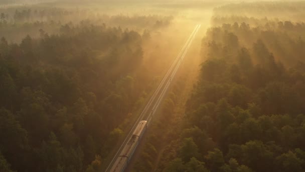 4kドローンビュー列車は夜明けに森を通過し、太陽の光は森の上の霧を照らす — ストック動画