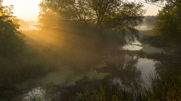 El amanecer sobre el río, la niebla que sube lentamente del agua, sus rayos lo iluminan — Foto de Stock
