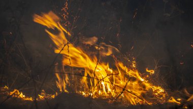 Geceleri trol, havaya birçok sera gazı yayan, çevre için bir tehdit oluşturan