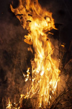 Geceleri trol, havaya birçok sera gazı yayan, çevre için bir tehdit oluşturan