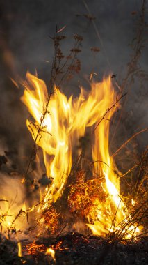 Geceleri trol, havaya birçok sera gazı yayan, çevre için bir tehdit oluşturan