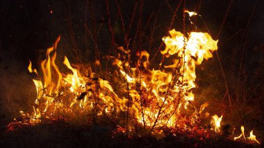 Geceleri trol, havaya birçok sera gazı yayan, çevre için bir tehdit oluşturan