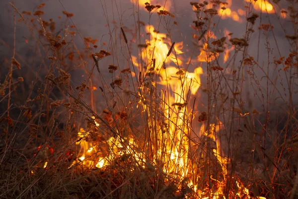 Ele arrasta à noite, emitindo muitos gases de efeito estufa para o ar, representando uma ameaça para o meio ambiente — Fotografia de Stock