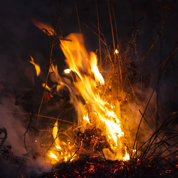 Geceleri trol, havaya birçok sera gazı yayan, çevre için bir tehdit oluşturan