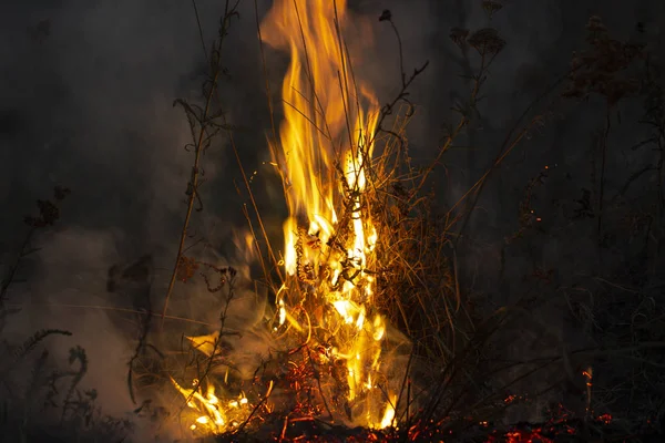 Il chalut la nuit, émettant de nombreux gaz à effet de serre dans l'air, constituant une menace pour l'environnement — Photo