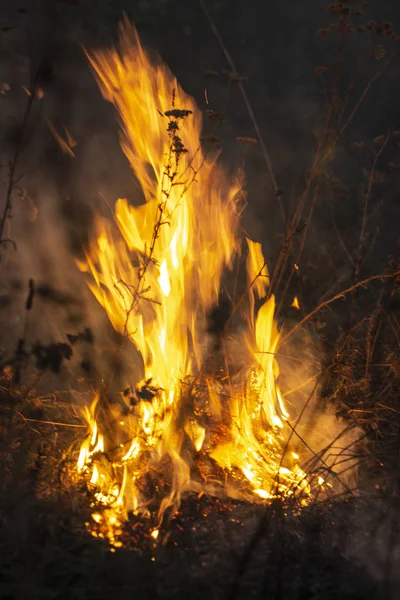 Il chalut la nuit, émettant de nombreux gaz à effet de serre dans l'air, constituant une menace pour l'environnement — Photo