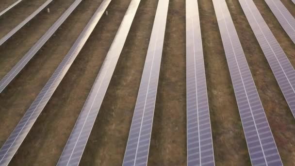 Возобновляемое электричество, беспилотный полет над солнечной электростанцией, расположенной в поле . — стоковое видео