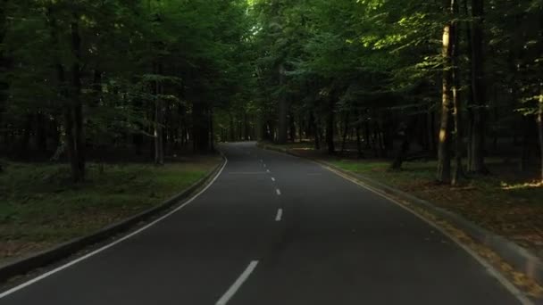 4k Voo lento por drone em baixa altitude, sobre estrada asfaltada de alta qualidade que atravessa a floresta verde com grandes árvores verdes . — Vídeo de Stock