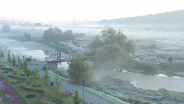 Höstfrostig dimmig morgon i parken, drönarutsikt — Stockvideo