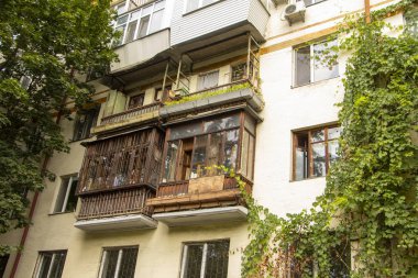 Bir apartmanın duvarında üzüm, yeşil şehir konsepti.