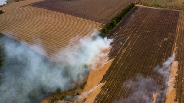 Feu 4k dans un champ de maïs après la récolte Vue du drone 