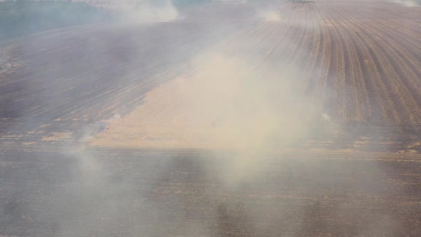 4k Φωτιά σε ένα Cornfield μετά τη συγκομιδή Θέα από το drone — Αρχείο Βίντεο